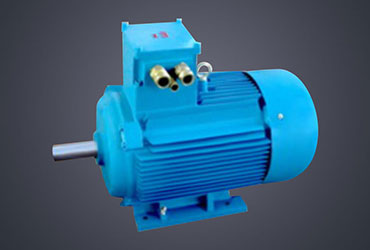 YBX3 Series Explosion-proof Three Phase Induction Motor